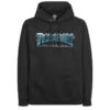 Thrasher Black Ice Hoodie Black