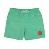 Santa Cruz Classic Dot Swimshort Apple Mint