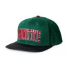 Primitive Collegiate Arch Snapback Green