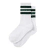 Polar Skate Co. Fat Stripe Socks White / Green